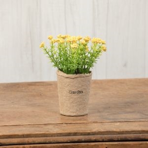 Yellow Yarrow Flower Pot
