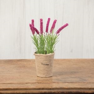 Pink Lavender Flower Pot